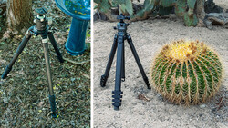 Two camera tripods with ball heads shown side by side outdoors, one on leaf-strewn mulch and one on sand beside a barrel cactus