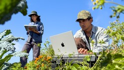 Man in a camo cap types on a silver Apple laptop in a sunlit field while a woman holding a tablet stands nearby.