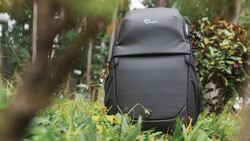 Black Lowepro camera backpack with orange zipper pulls resting on grass in a tropical garden.