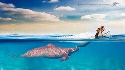 Amazing Underwater Imagery Breakdown: Magic Moments
