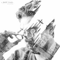 Profile picture for Javier Luces
