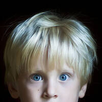 Profile picture for Sean Shimmel