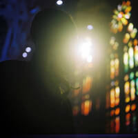 Profile picture for Tom Falkenburg