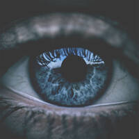 Profile picture for Kidizin Sane