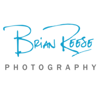 Profile picture for Brian Reese