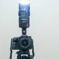 Profile picture for Nick Stephens