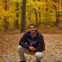 Profile picture for Jorge Vieira