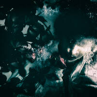 Profile picture for João Leite