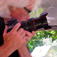 Profile picture for William Smith