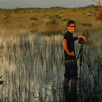 Profile picture for Nick Vitale