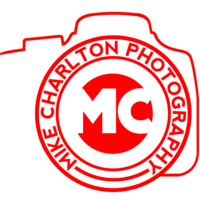Profile picture for mike charlton