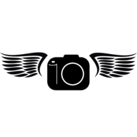 Profile picture for Greg Marshall