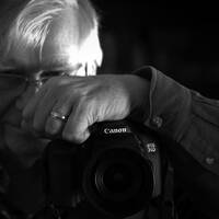 Profile picture for Roger Bloemers