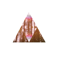 Profile picture for Avraham Zohari