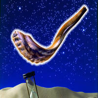Profile picture for menachem adelman