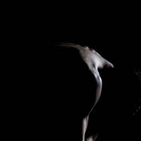 Profile picture for dnjimage dnj