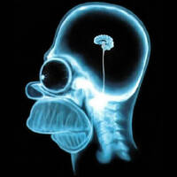 Profile picture for Michael Lagman