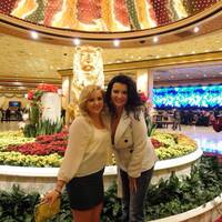 Profile picture for Stacy Havrilack