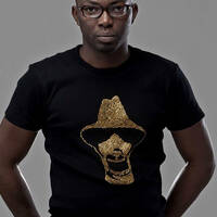 Profile picture for Shola Animashaun