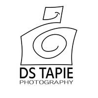 Profile picture for David Tapie