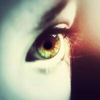 Profile picture for Kim Wahrlich