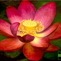 Profile picture for Mary Konchar
