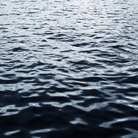 Profile picture for anthony aquino