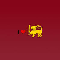 Profile picture for Tony Fernando
