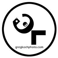 Profile picture for Greg Koch