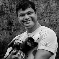 Profile picture for Partha Roy