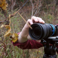 Profile picture for Sean Anderson