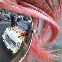 Profile picture for Ailsa Fox