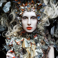 Profile picture for kirsty mitchell