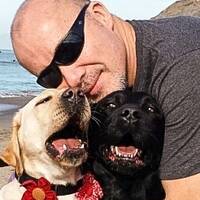 Profile picture for Craig Williams