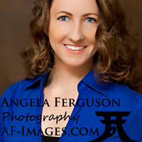 Profile picture for Angela Ferguson