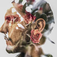 Profile picture for Jason Vasquez