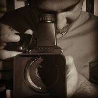 Profile picture for Dominic Zingale