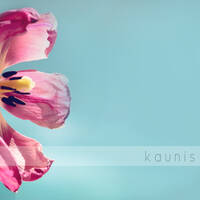 Profile picture for kaunis hetki