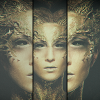 Profile picture for Marian Wodzisz