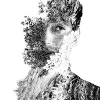 Profile picture for Simon Velazquez