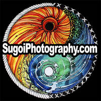 Profile picture for Christopher Myers