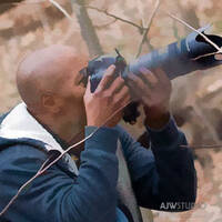 Profile picture for Arnold Ward