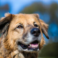 Profile picture for user user-33749