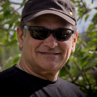 Profile picture for Allan Ogilvie