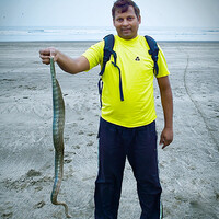 Profile picture for MAHENDRA BHAINDARKAR