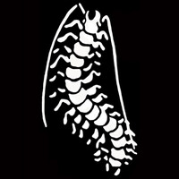 Profile picture for Niko Tavernise