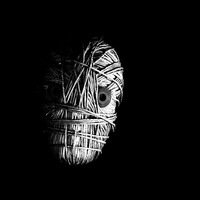 Profile picture for Cal Redback