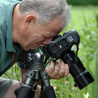 Profile picture for Eric Waller