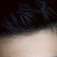 Profile picture for Mahmoud Cheaib