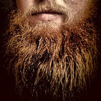 Profile picture for Randall Hedges